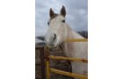 Property photo 23 - REAL ESTATE & FARM EQUIPMENT AUCTION IN ALLEN COUNTY, INDIANA
